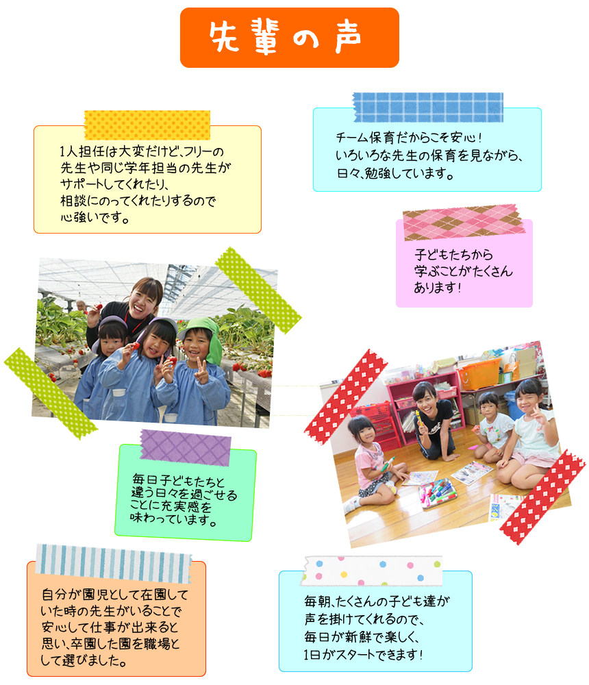 先輩の声